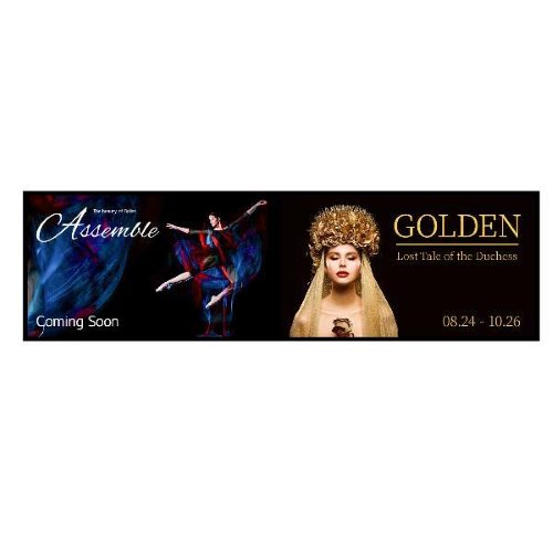 Display per il digital signage